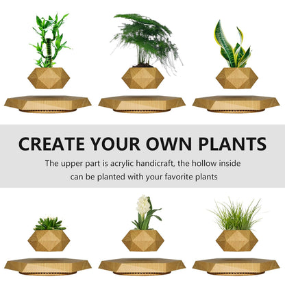 Magnetic Levitating & Floating Plant Pot