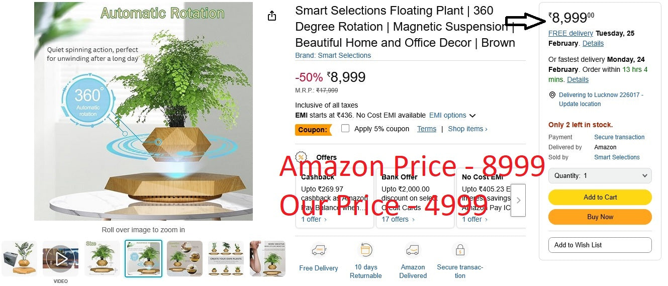 Magnetic Levitating & Floating Plant Pot